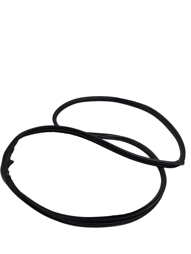 Borracha Vedação Porta Traseira Esquerda Sentra 2010 2