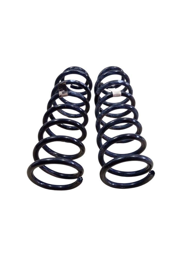 Par Mola Traseira Byd Dolphin Mini 2025 2026