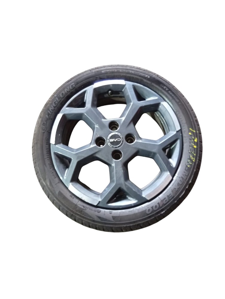 Roda Byd Dolphin Mini 2025 2026 R16 Detalhes