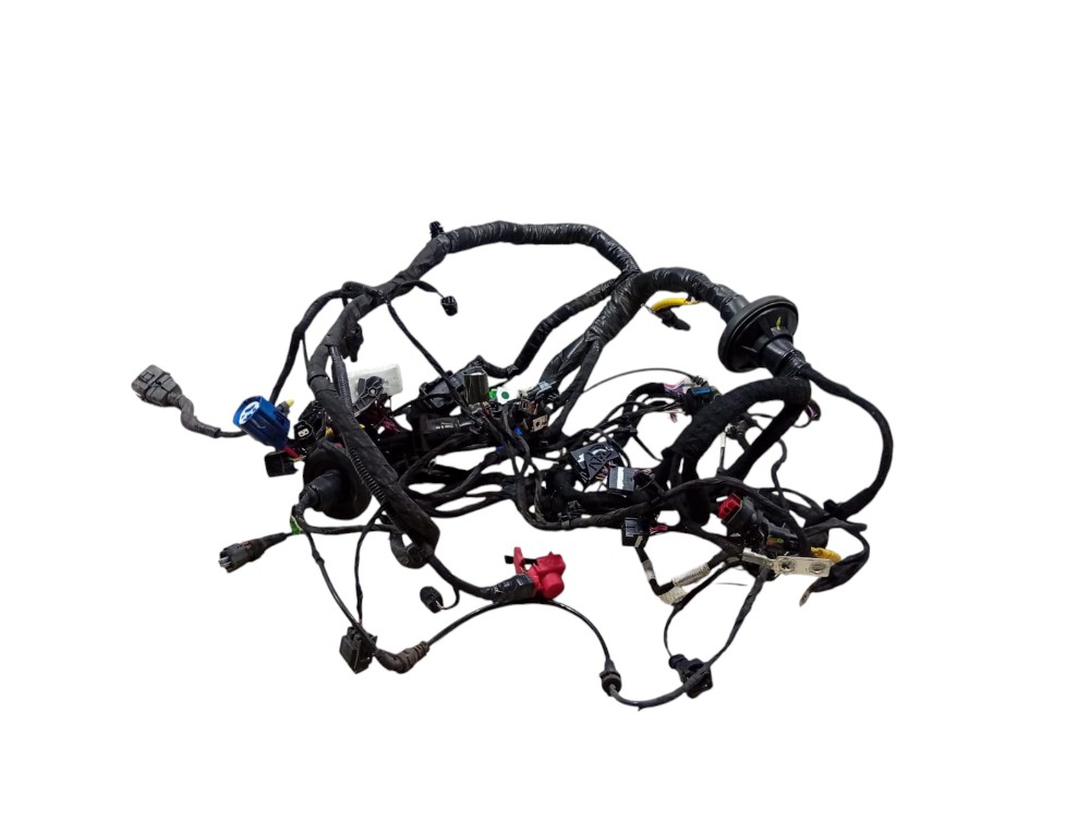 Chicote Motor Byd Dolphin Mini 2025 2026