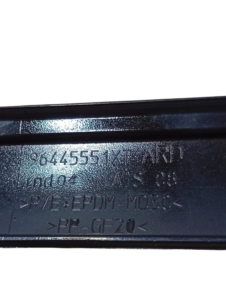 Friso Porta Traseira Direita Peugeot 407 2005 2008 Detalhe 5