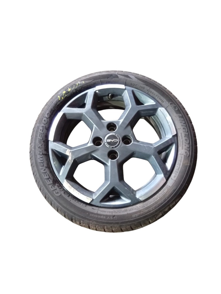 Roda Byd Dolphin Mini 2025 2026 R16 Detalhe