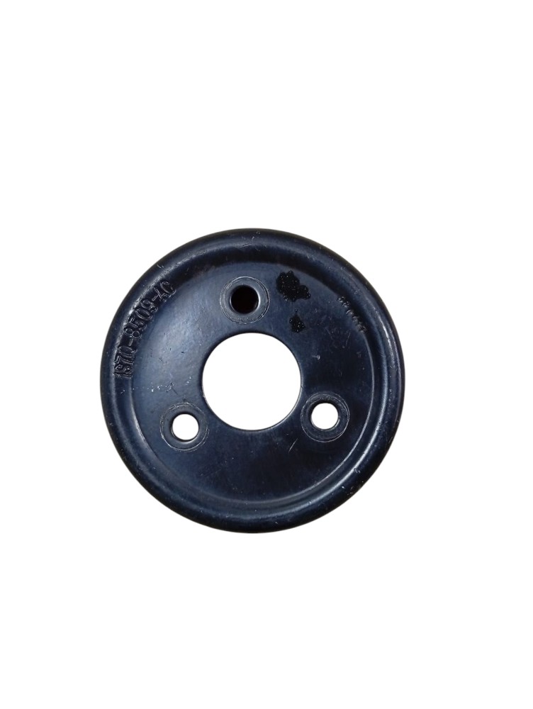 Polia Bomba Água Ford Ecosport Fusion 2007 2009 2