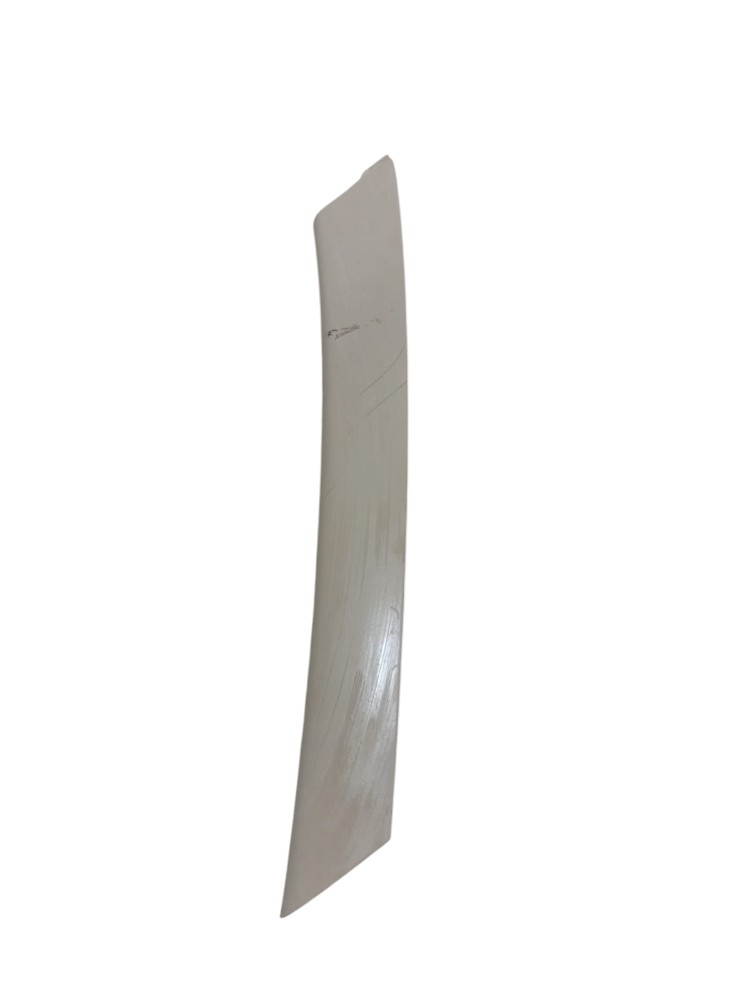Moldura Forro Porta Traseira Esquerda Volkswagen Tiguan 2011 3