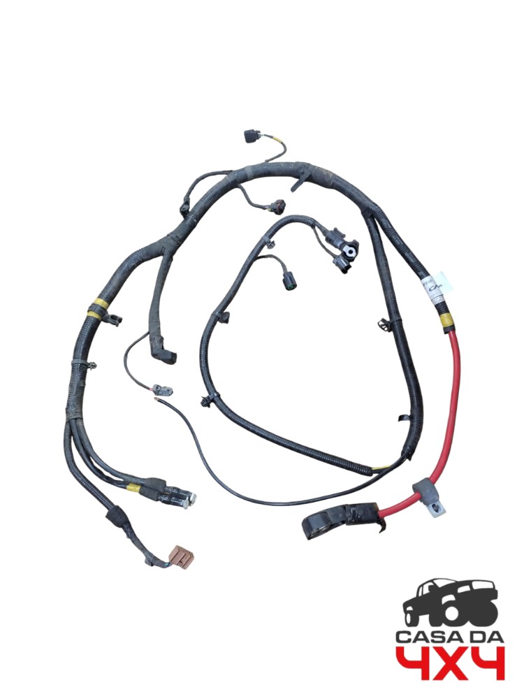 Chicote positivo HR 2022