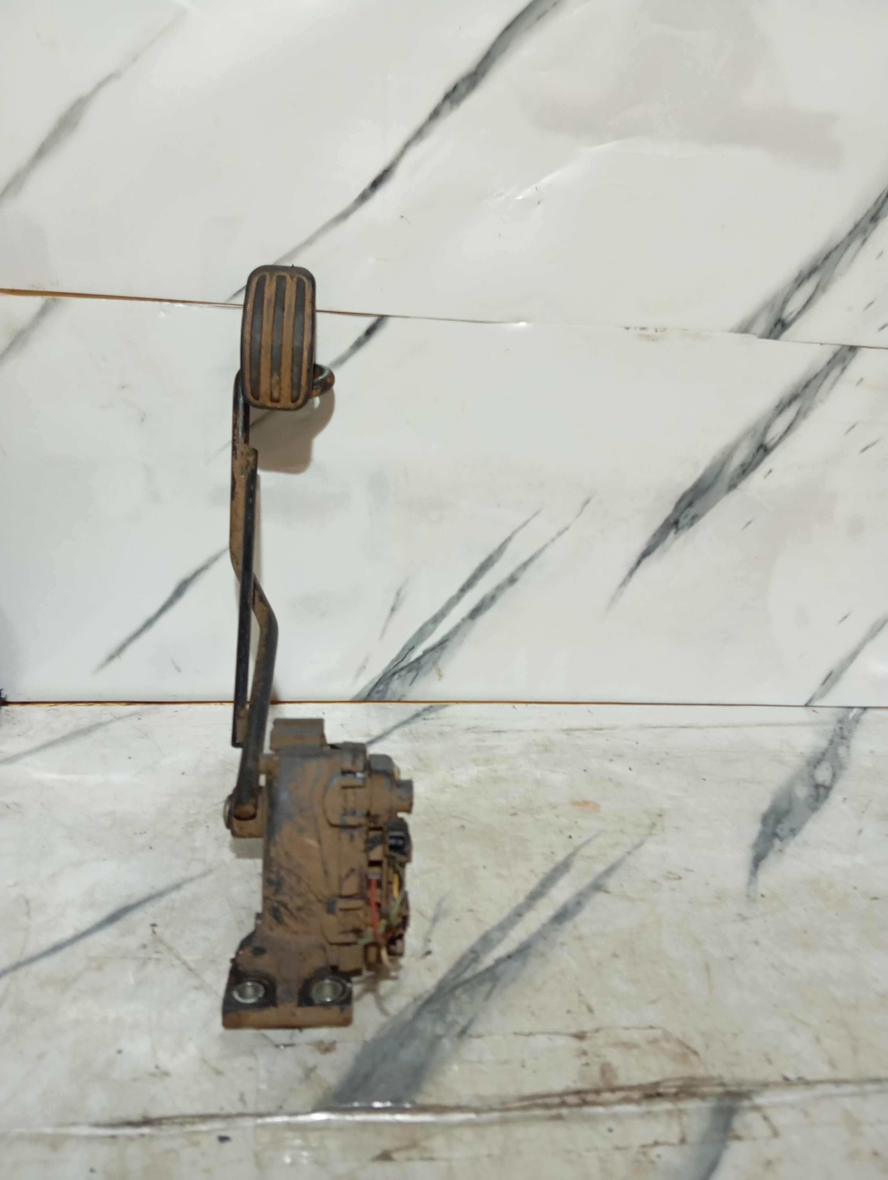 Pedal Acelerador Eletrônico Citr Peugeot 206 307