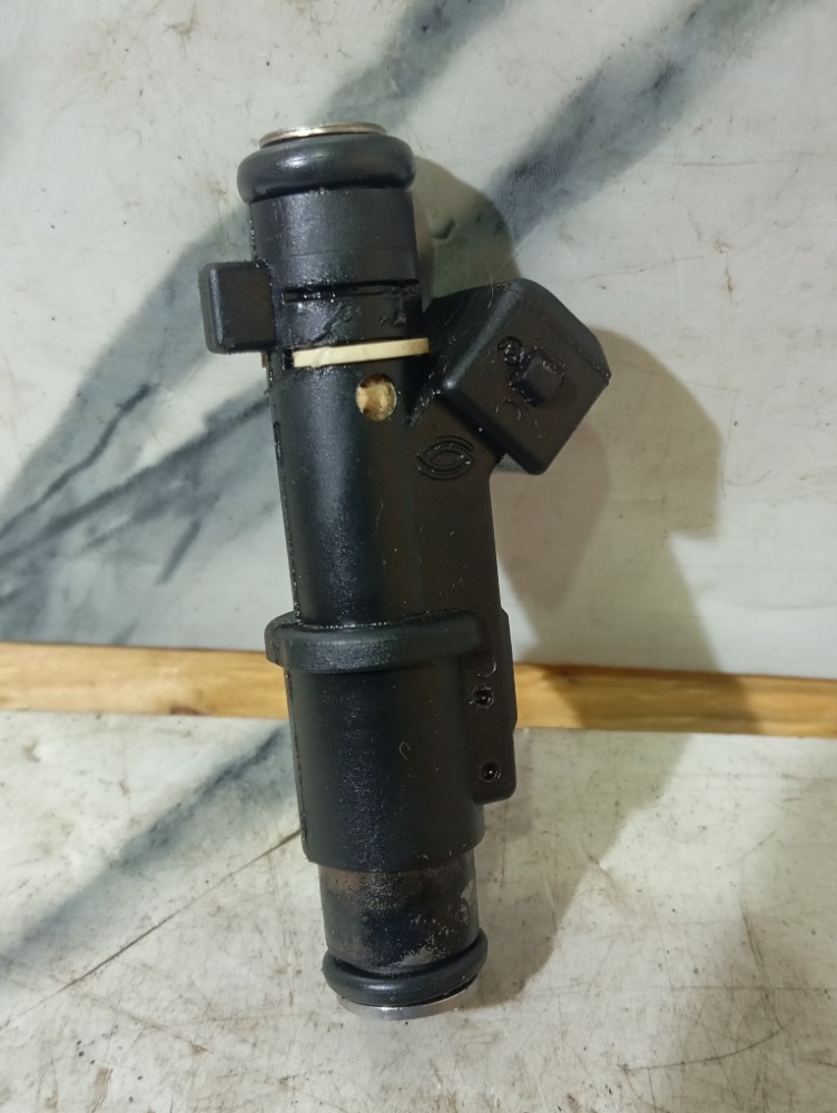 Bico Injetor Peugeot 307 Citroen Picasso 2.0 16v N.pa6gf30