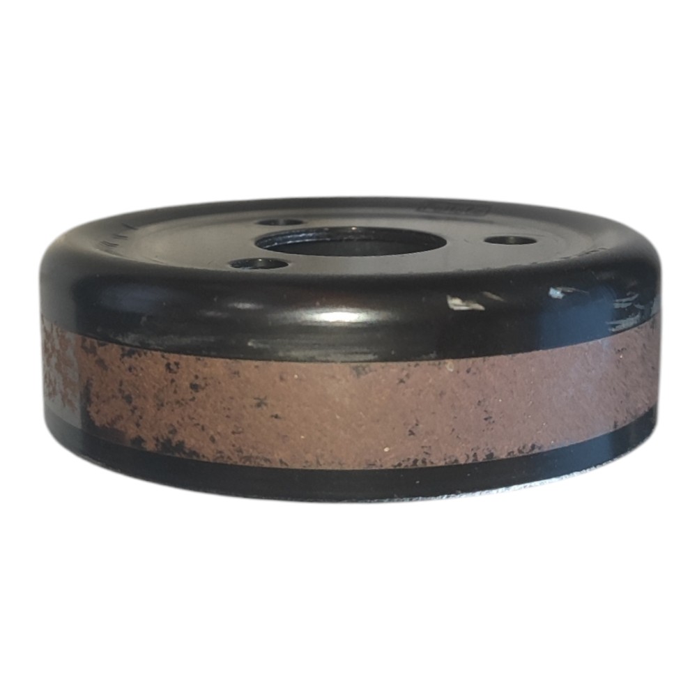 Polia Bomba Água Ford Ecosport Focus 2.0 2014 2015 2016 2019 3