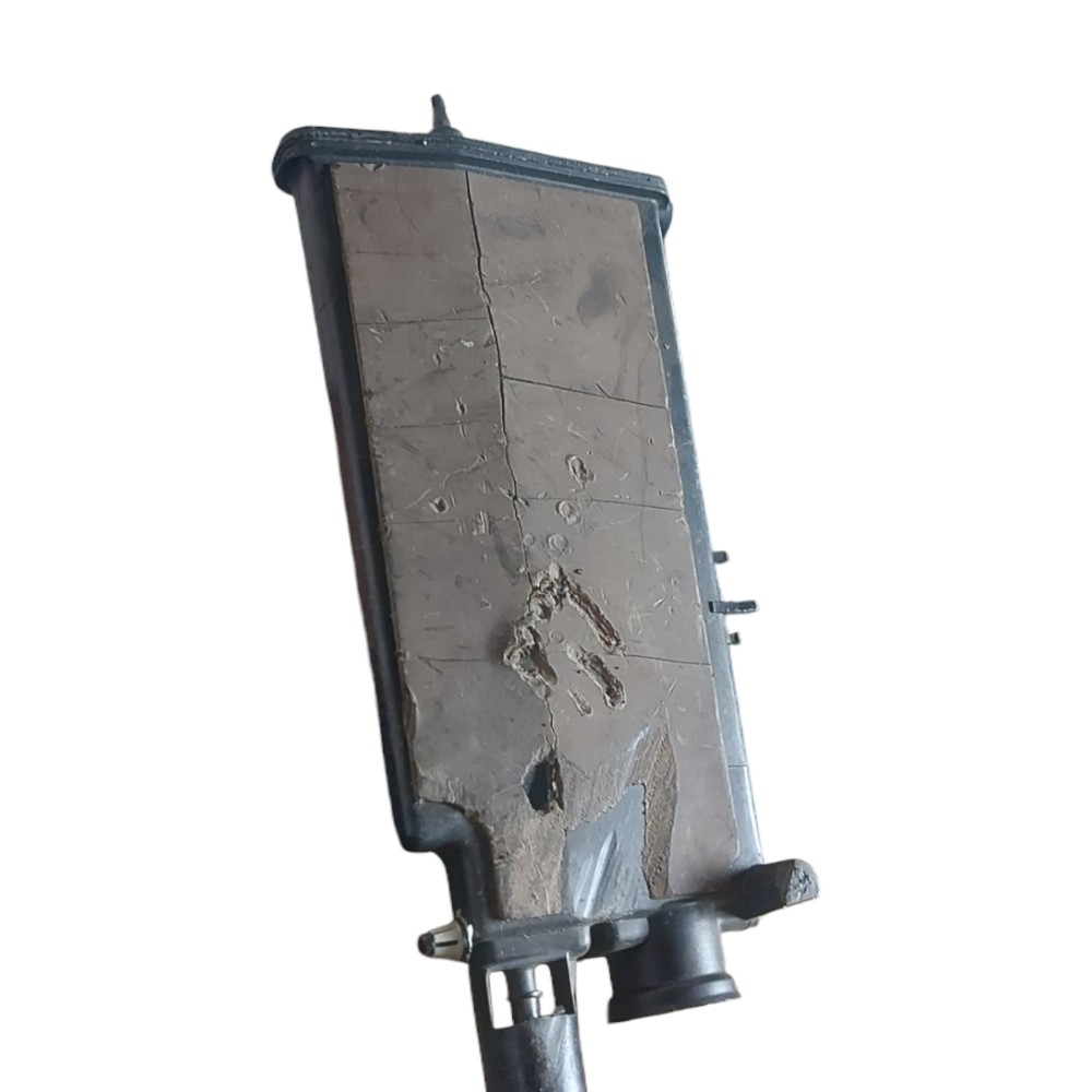 Filtro Canister Peugeot 307 Citroen C4 1.6 2.0 2006 A 2012 2