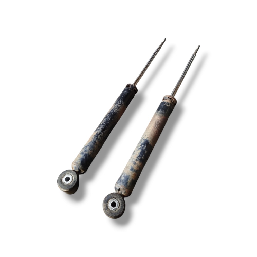 Par Amortecedor Traseiro Clio 1.0 2005 2010 1