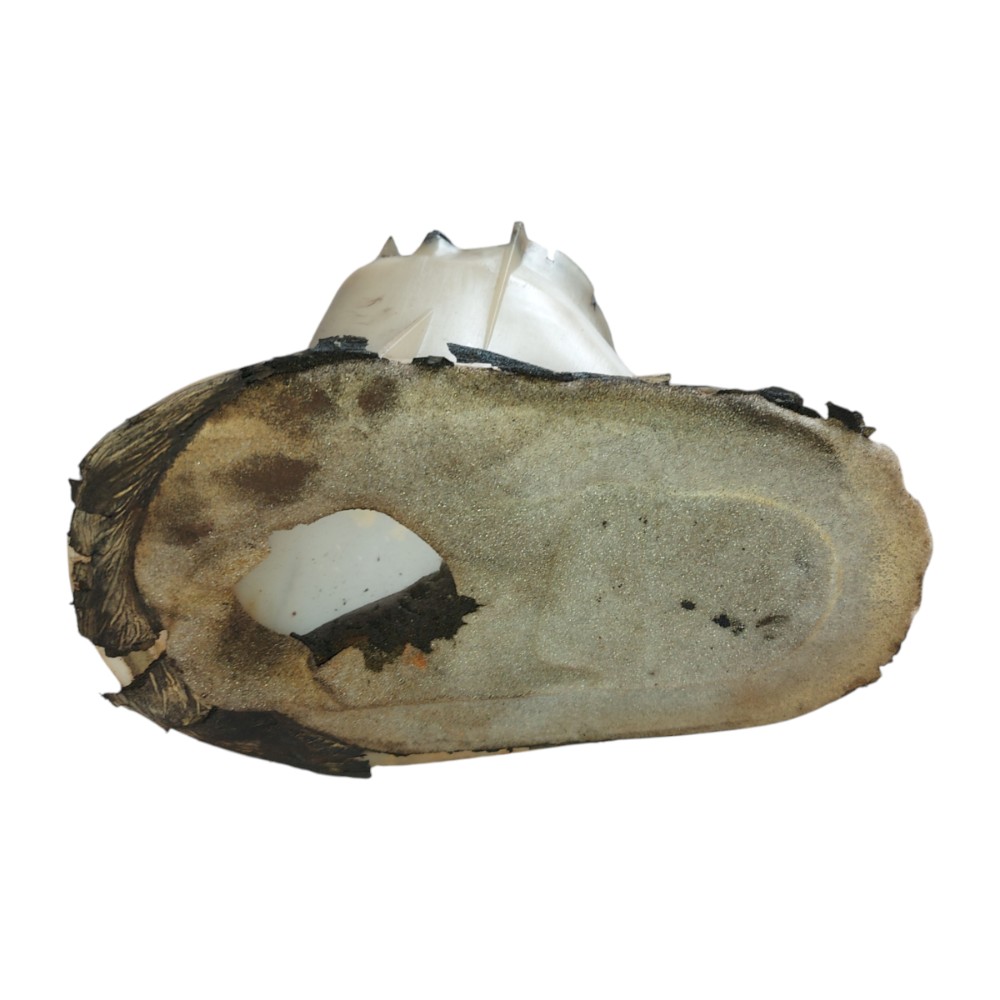 Coifa Caixa Direção Ford Focus 2001 2002 2003 2004 2005 2008 2