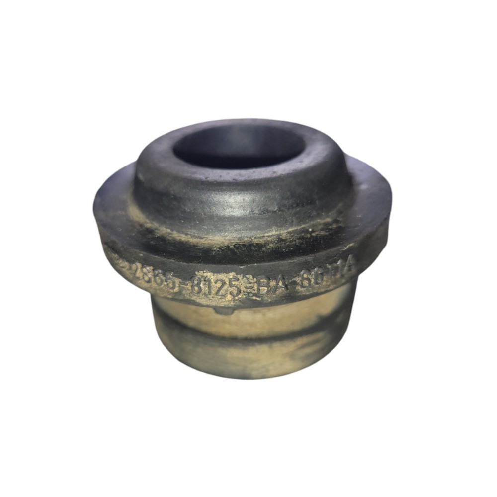 Coxim Radiador Ford Fiesta Ecosport Ka 2003 2004 2005 2013