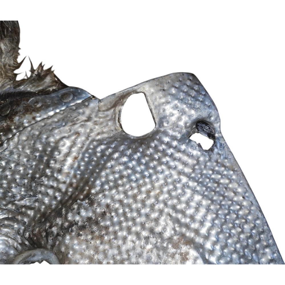 Defletor Calor Coxim Motor Audi A4 Vw Passat Alemão 1996/05 Prata 6