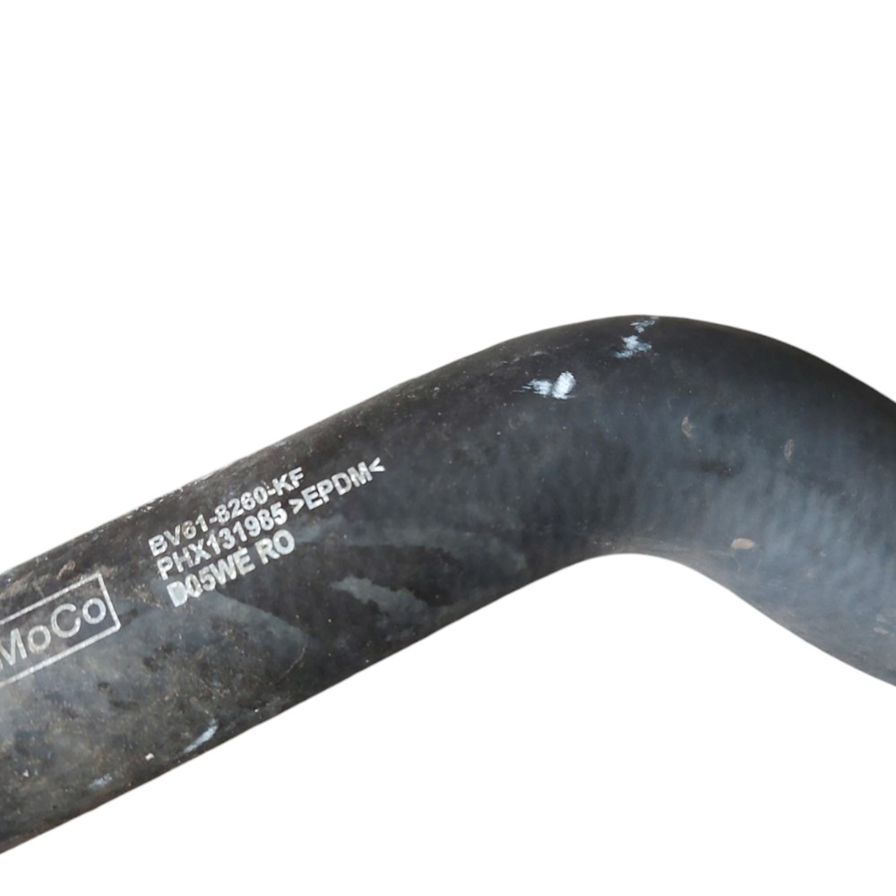 Mangueira Superior Radiador Focus 2014 2015 2017 2019 2