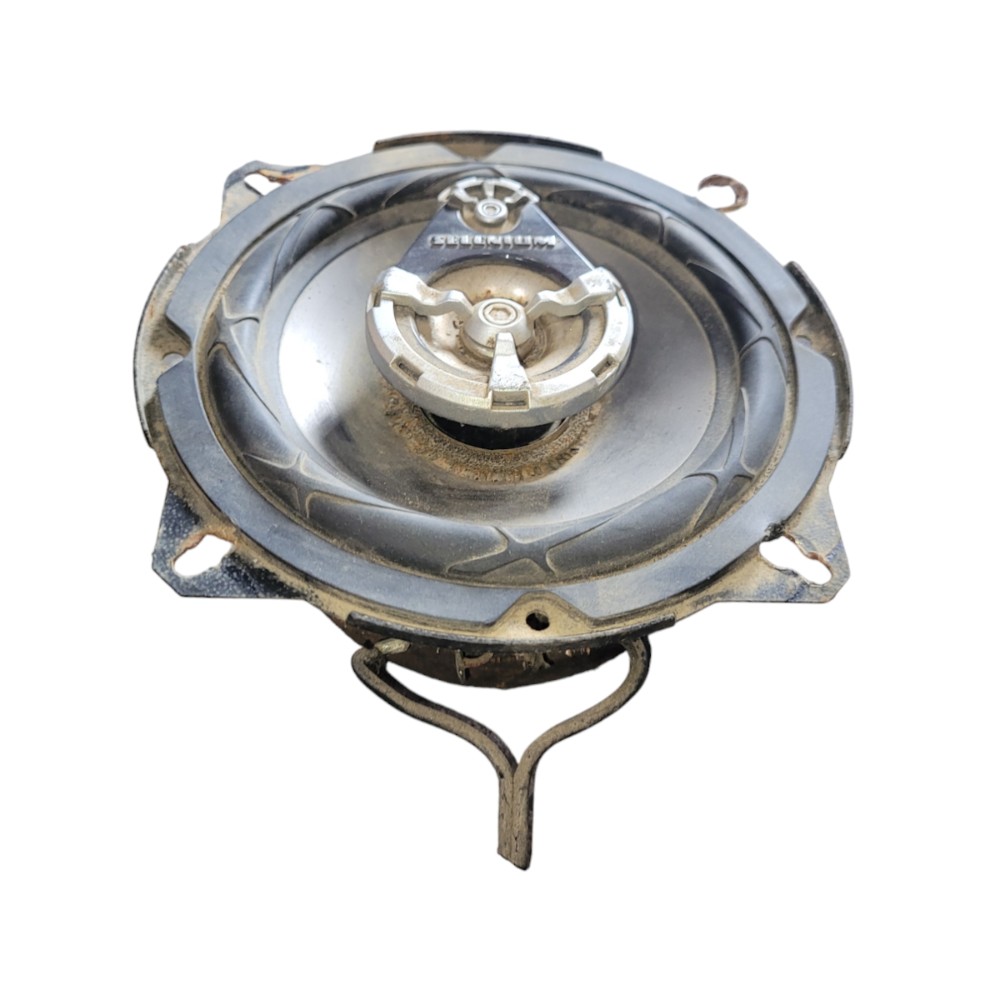 Auto Falante Selenium Automotivo Prata 5