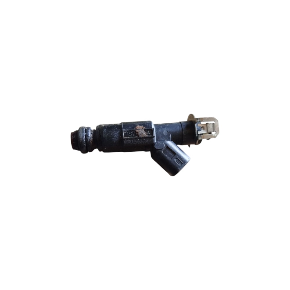 Bico Injetor Ford Ecosport 2003/12 Focus 2009/14 Duratec 2.0