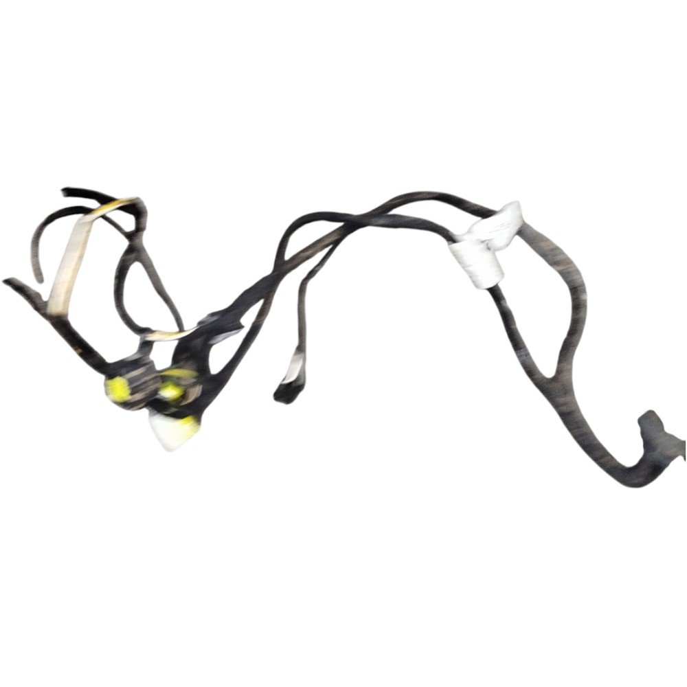 Chicote Porta Ford Fiesta Ecosport Rocan 2003 A 2014 2