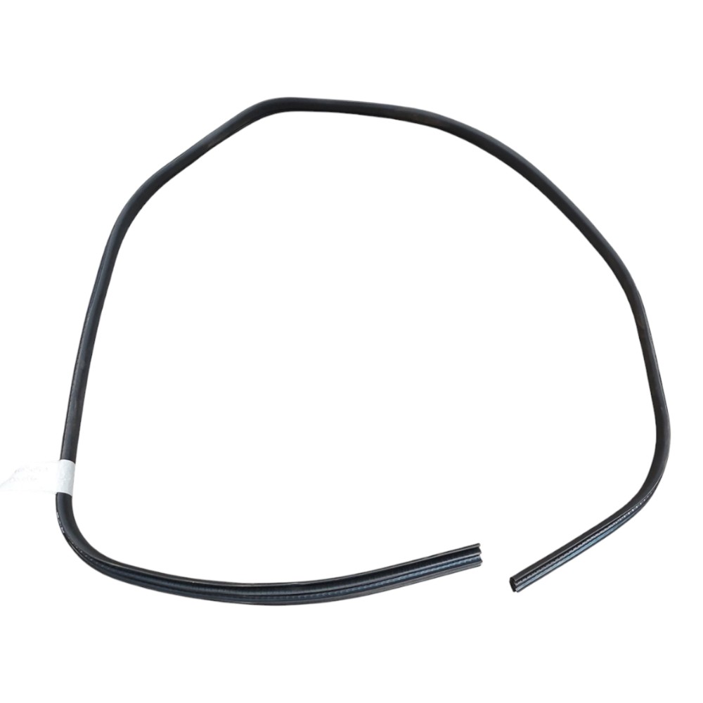 Borracha Guarnição Porta Traseira Direita Focus 2014 2018 Preta