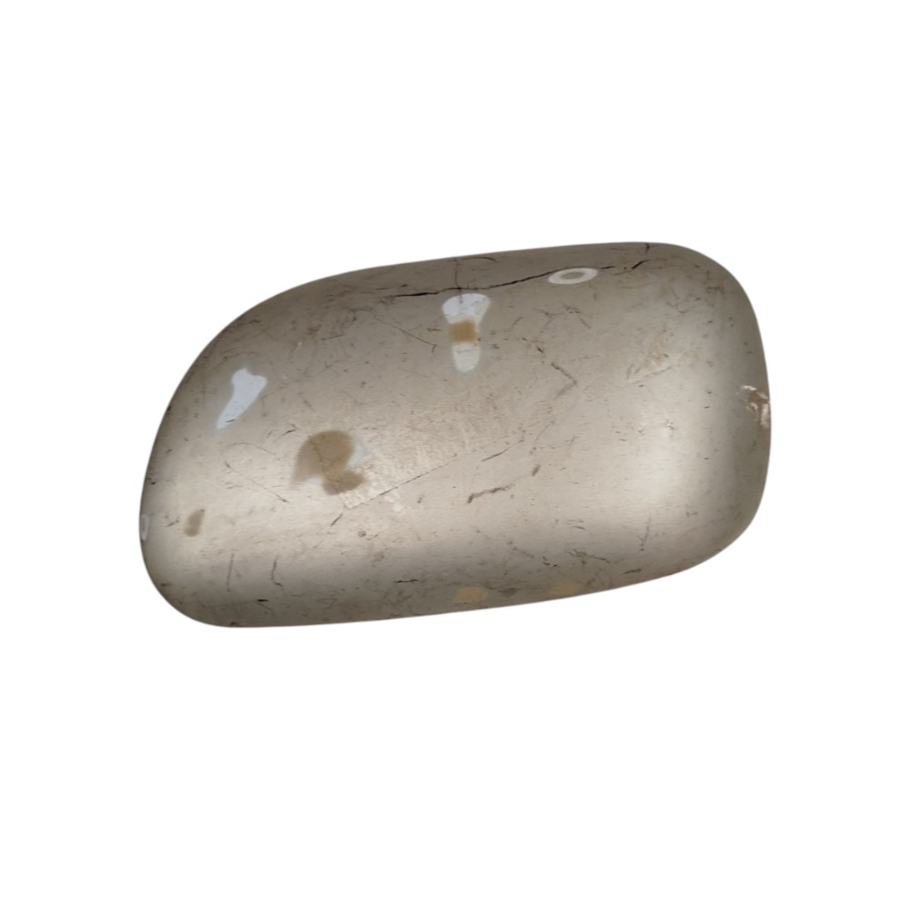 Capa Retrovisor Esquerdo Corolla 2003 2004 2006 2008  Prata