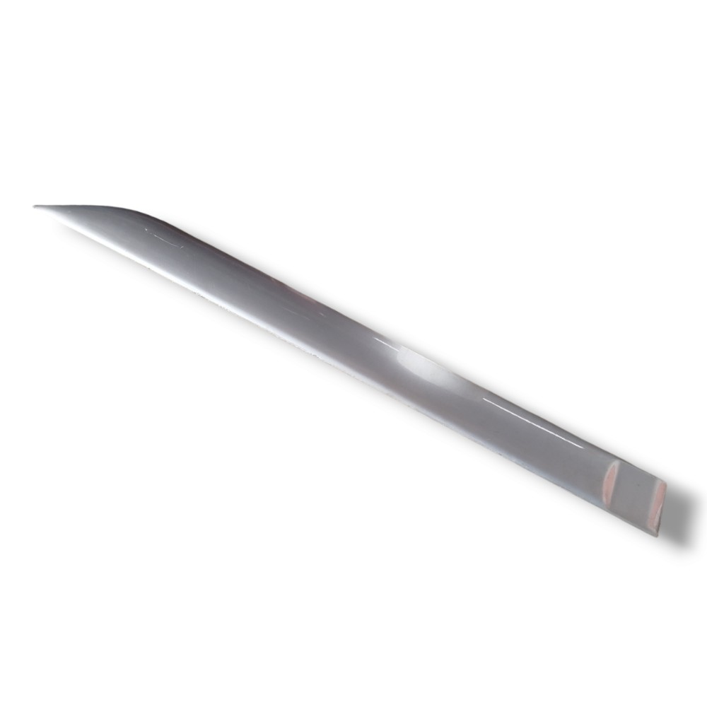 Friso Porta Traseira Esquerda Focus 2001 2005 2009  Prata 1