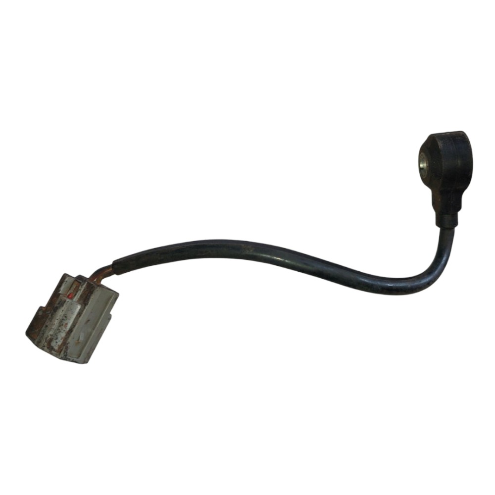 Sensor Detonação Ecosport 2.0 2003 2012 Original Siemens