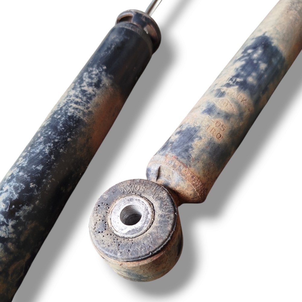 Par Amortecedor Traseiro Clio 1.0 2005 2010 4