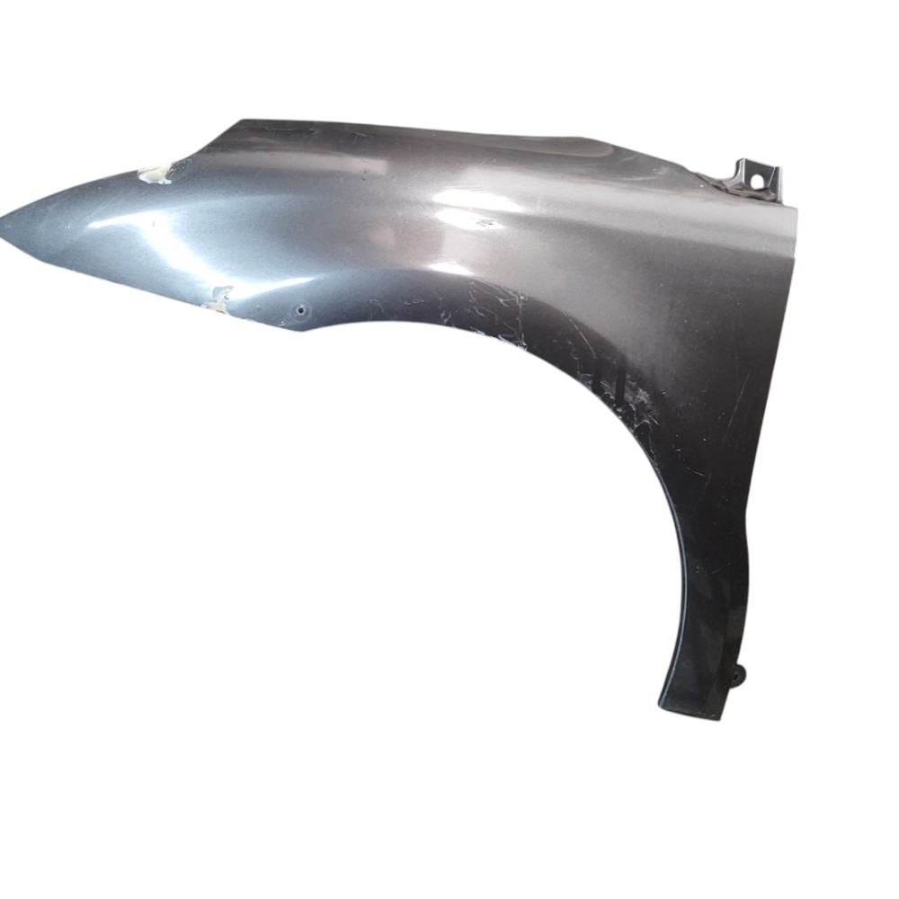 Paralama Esquerdo Citroen C4 2008 2009 2010 2011 2012 2013