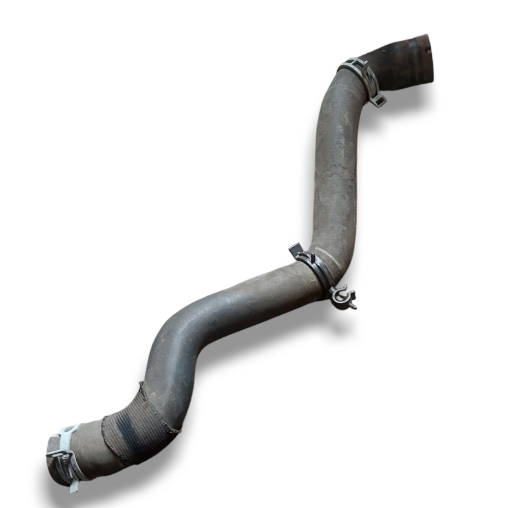 Mangueira Superior Radiador Focus 2014 2015 2017 2019 1