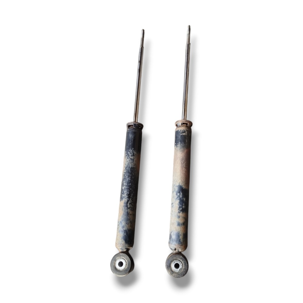 Par Amortecedor Traseiro Clio 1.0 2005 2010 2