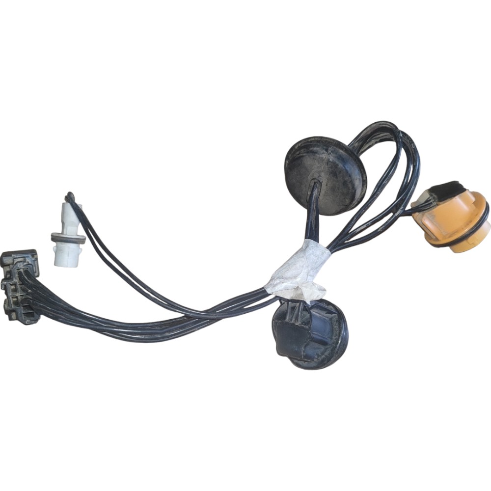 Chicote Porta Citroen C4 Pallas Peugeot 307 2007 2009 2014