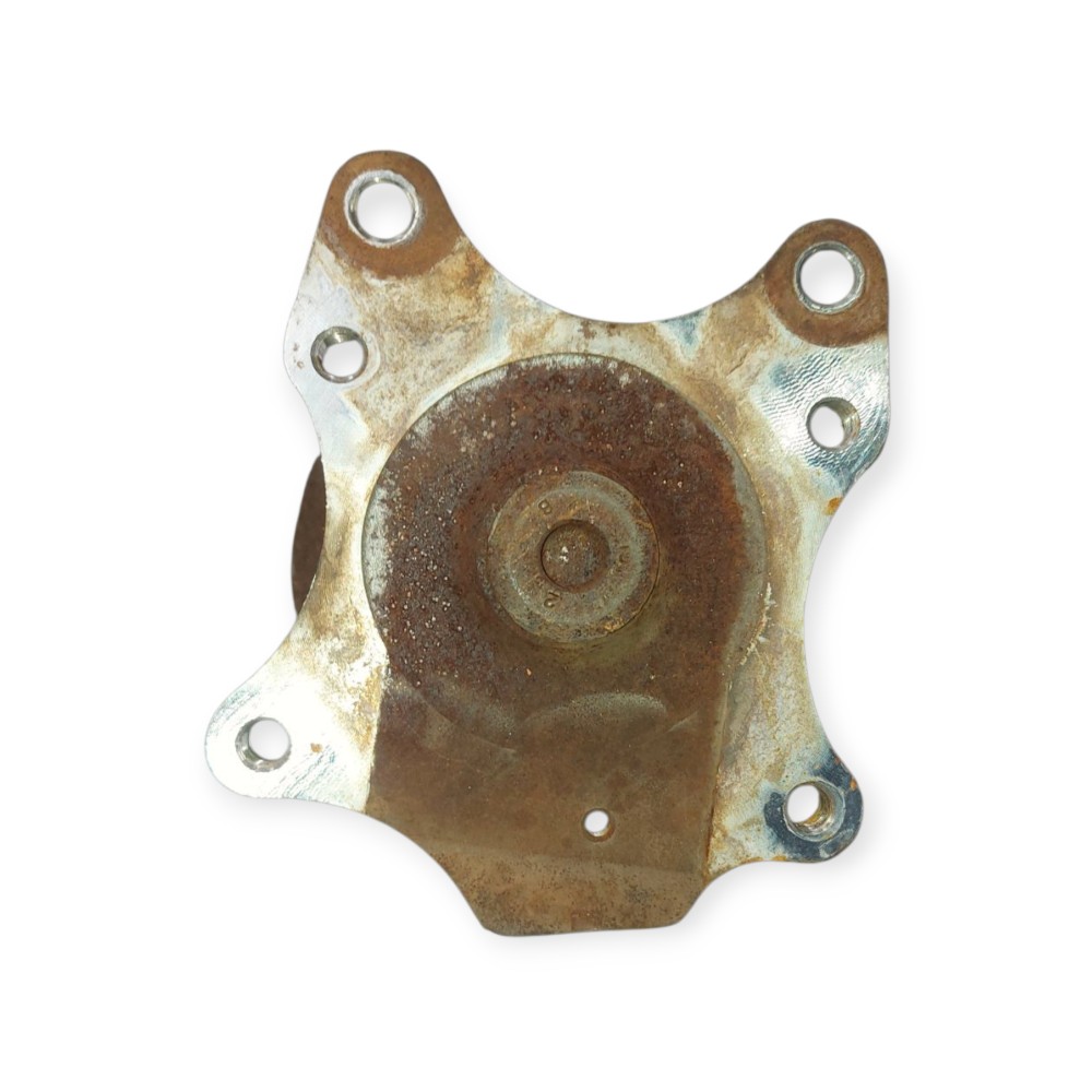 Cubo Roda Traseiro Citroen C4 1.6 2008 2009 2010 2012 2014