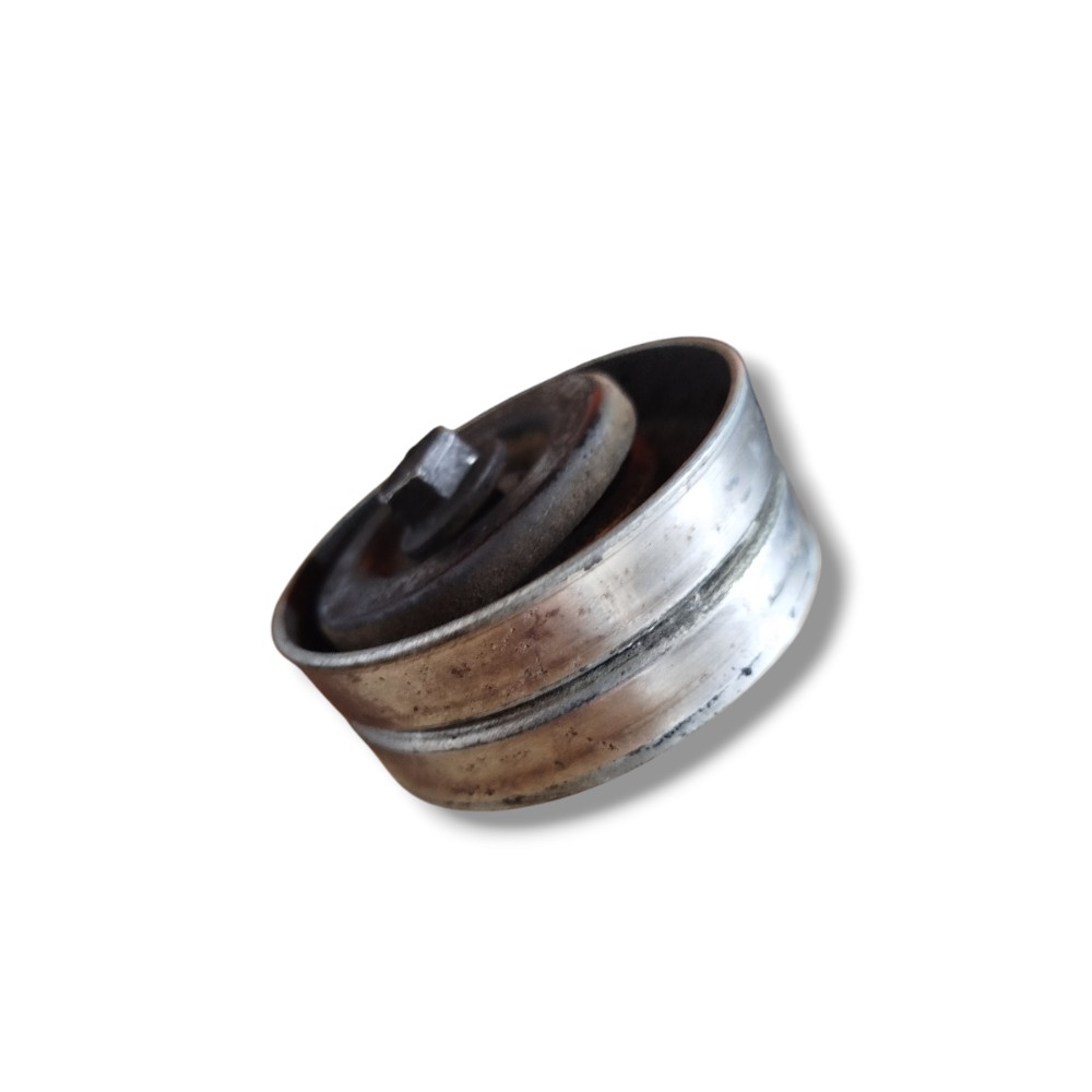 Polia Correia Poly V Focus 1.8 2001 2002 2010 1
