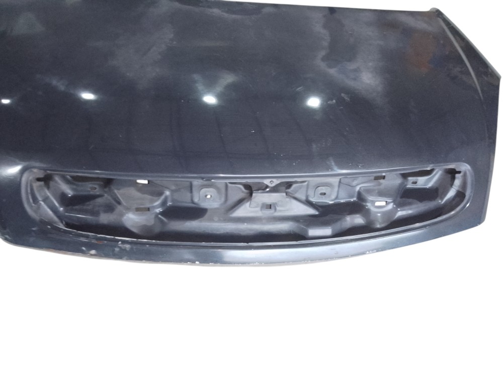 Capô Xsara Picasso Anos 2000 A 2009 Original Citroen 2