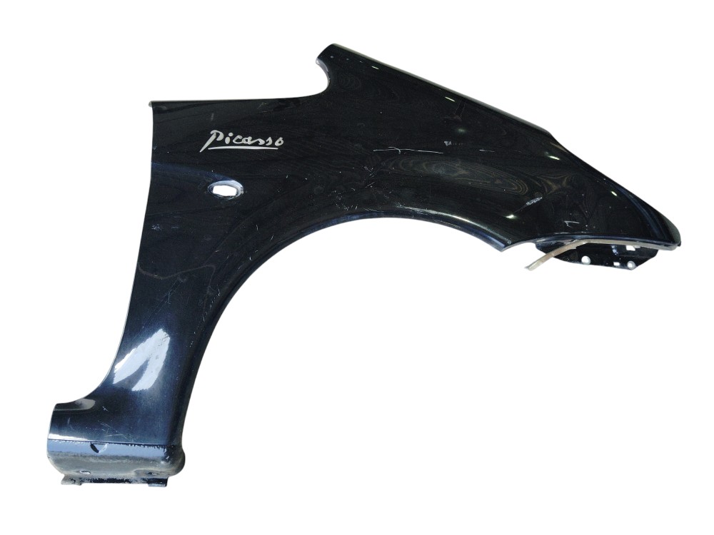 Paralama Direito Preto Citroen Xsara Picasso Original 2009 1