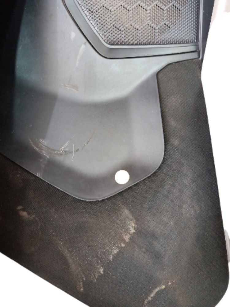 Revestimento Porta Ld Scania Ntg C/detalhe 2190425 7