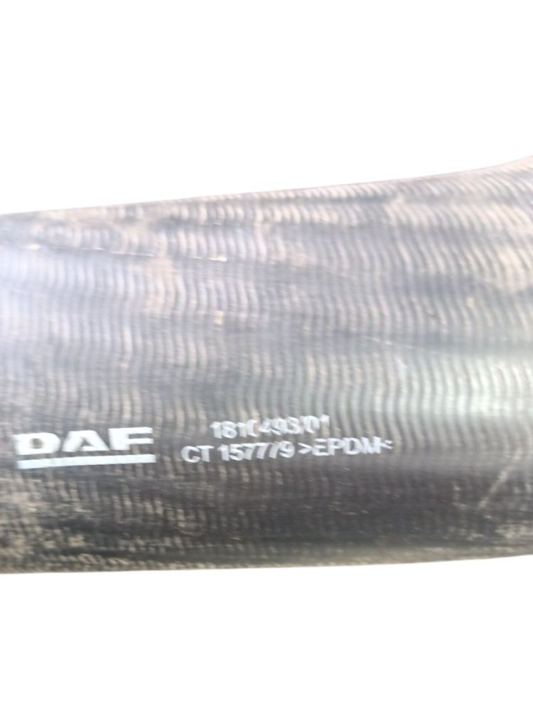 Mangueira Radiador Daf Xf 1810493 3