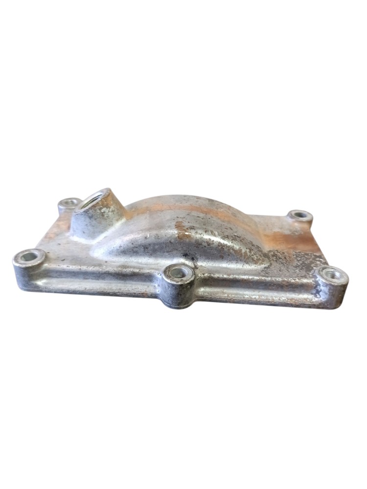 Tampa Lateral Caixa Scania Grs905 1549549 3