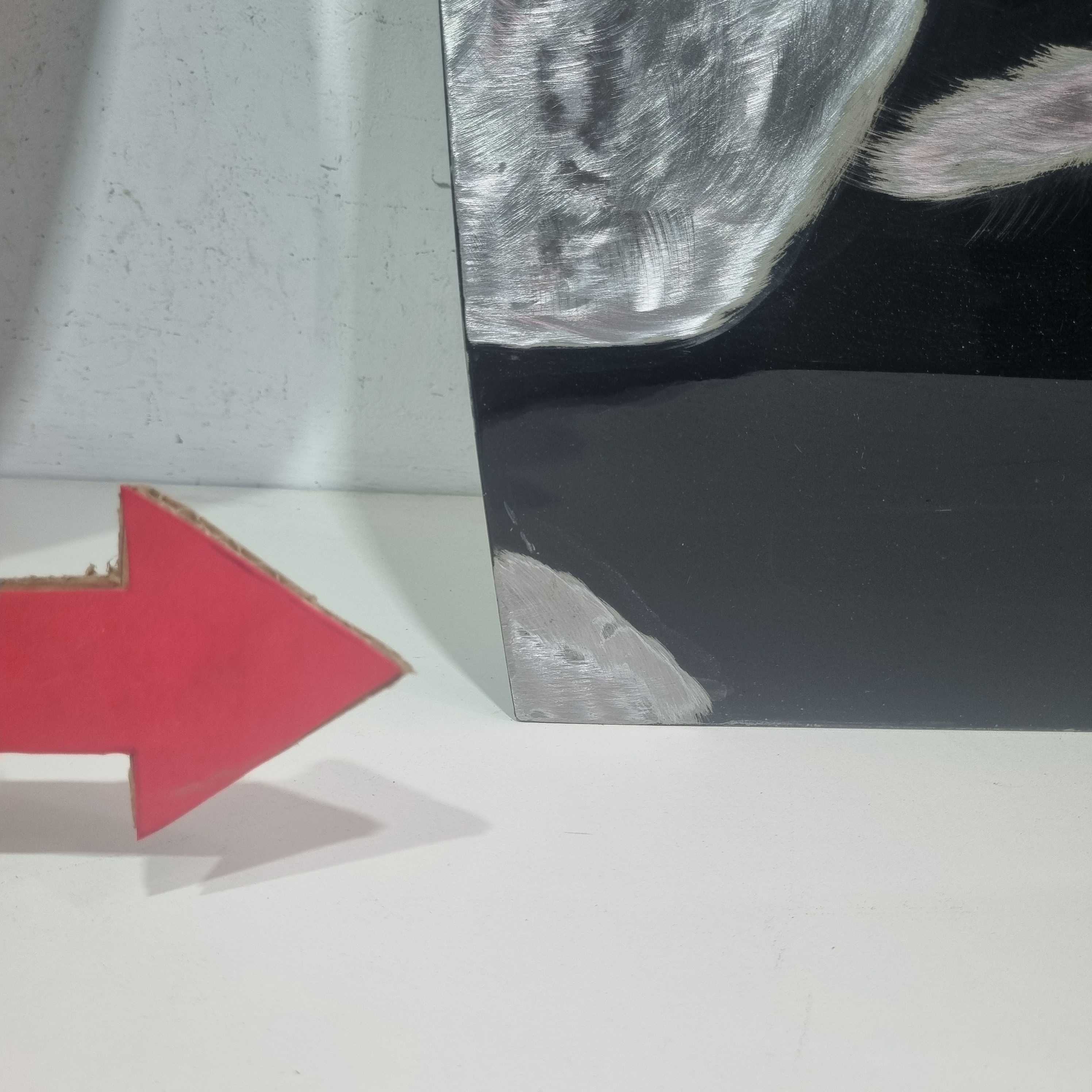 Porta Dianteira Lado Esquerdo Volkswagen Tera 2025/2026 Ori Dianteira Esquerdo 7