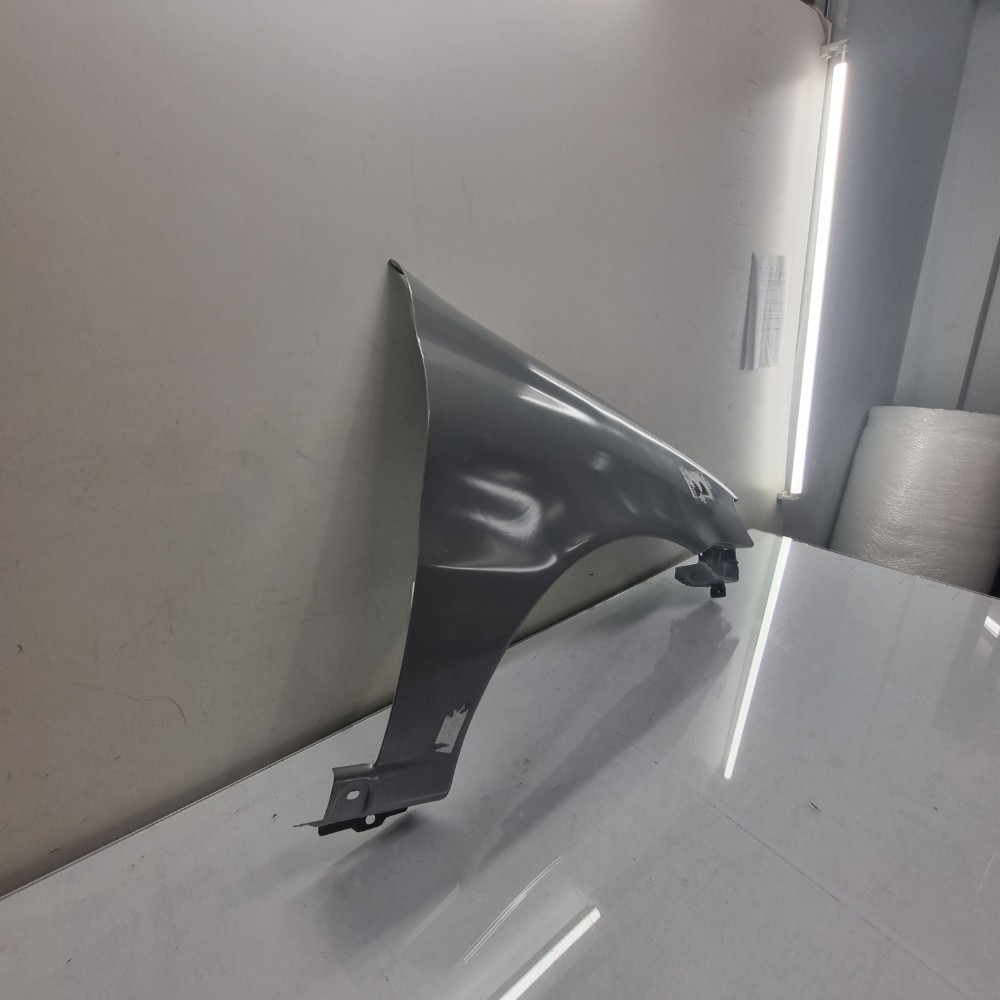 Paralama Dianteiro Direito  Fiat Palio Modelos 2004/2007 3