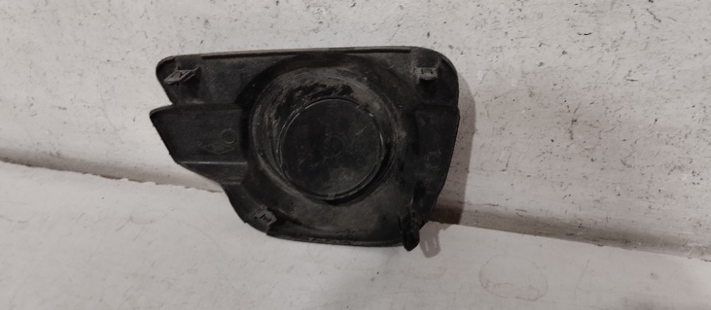 Moldura Lado Direito Kwid 2017/2019 4