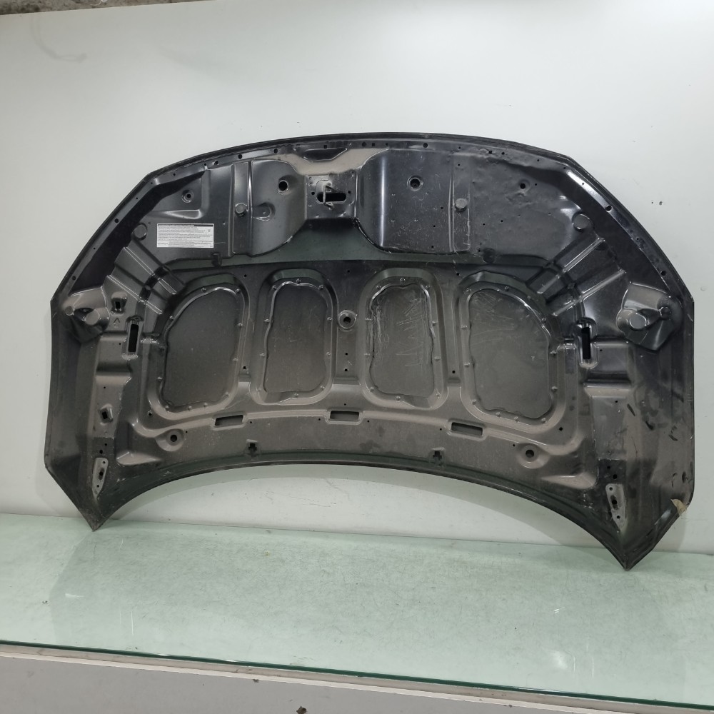 Capô Honda Civic 2017 / 2021 4