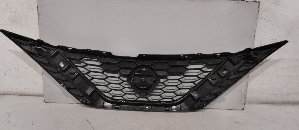 Grade Superior Sentra 2016/2019 9