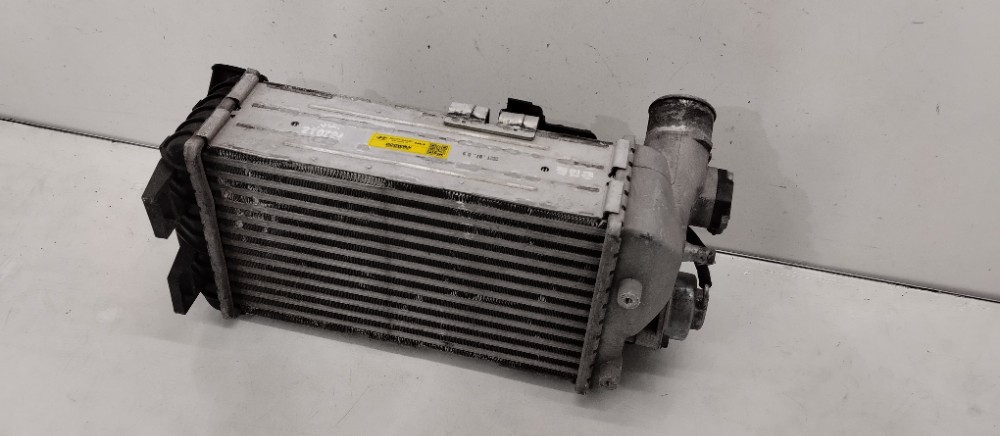 Intercooler Hyundai Creta 1.0 Turbo 2020/2023 3