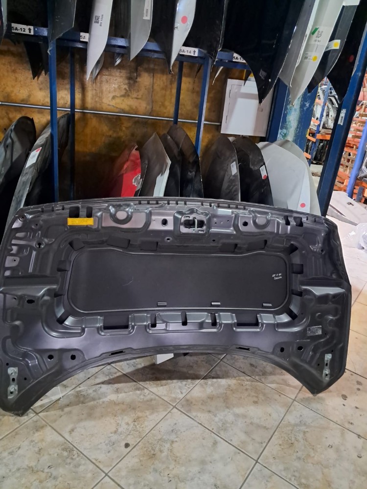 Capô Dianteiro Fiat Pulse 2022/2025 2