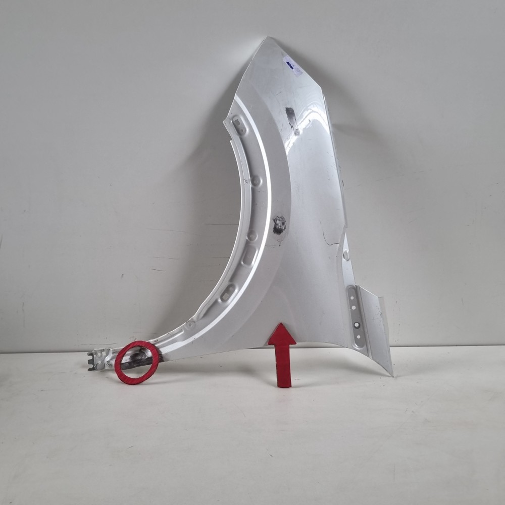 Paralama Dianteiro Esquerdo Peugeot 2008 Modelos 2023/2026