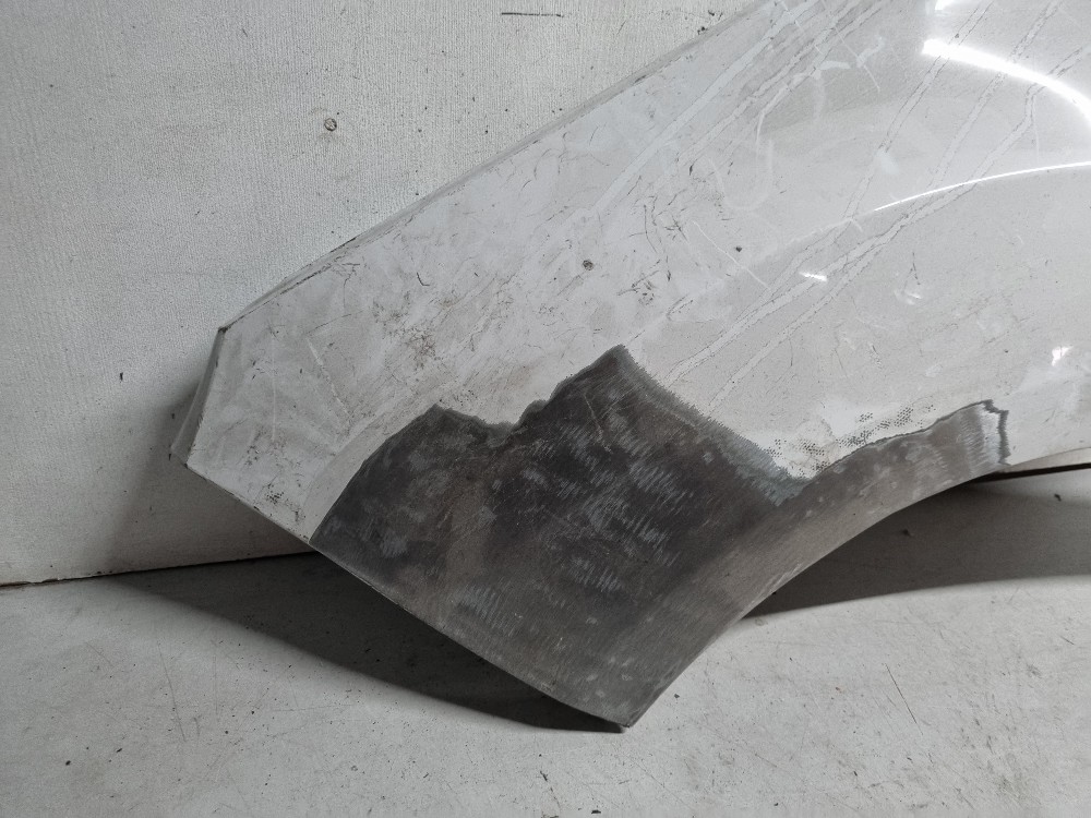 Paralama Esquerdo Ford Ecosport Modelo 2013/2017 2