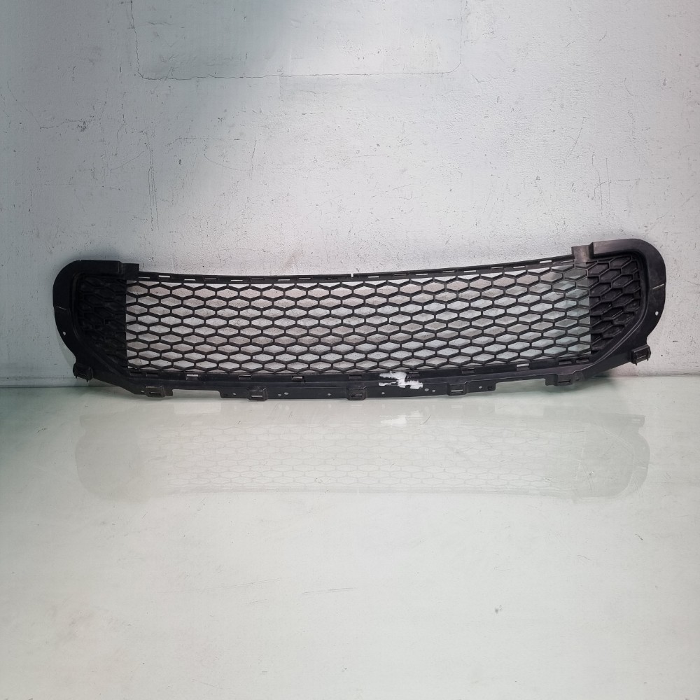 Grade Inferior Frontal Land Rover Freelander 2011/2015 1