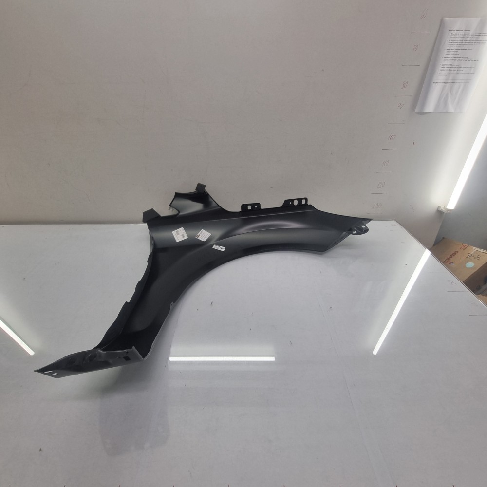 Paralama Do Lado Esquerdo Ford Fiesta Modelos 2008/2010 5