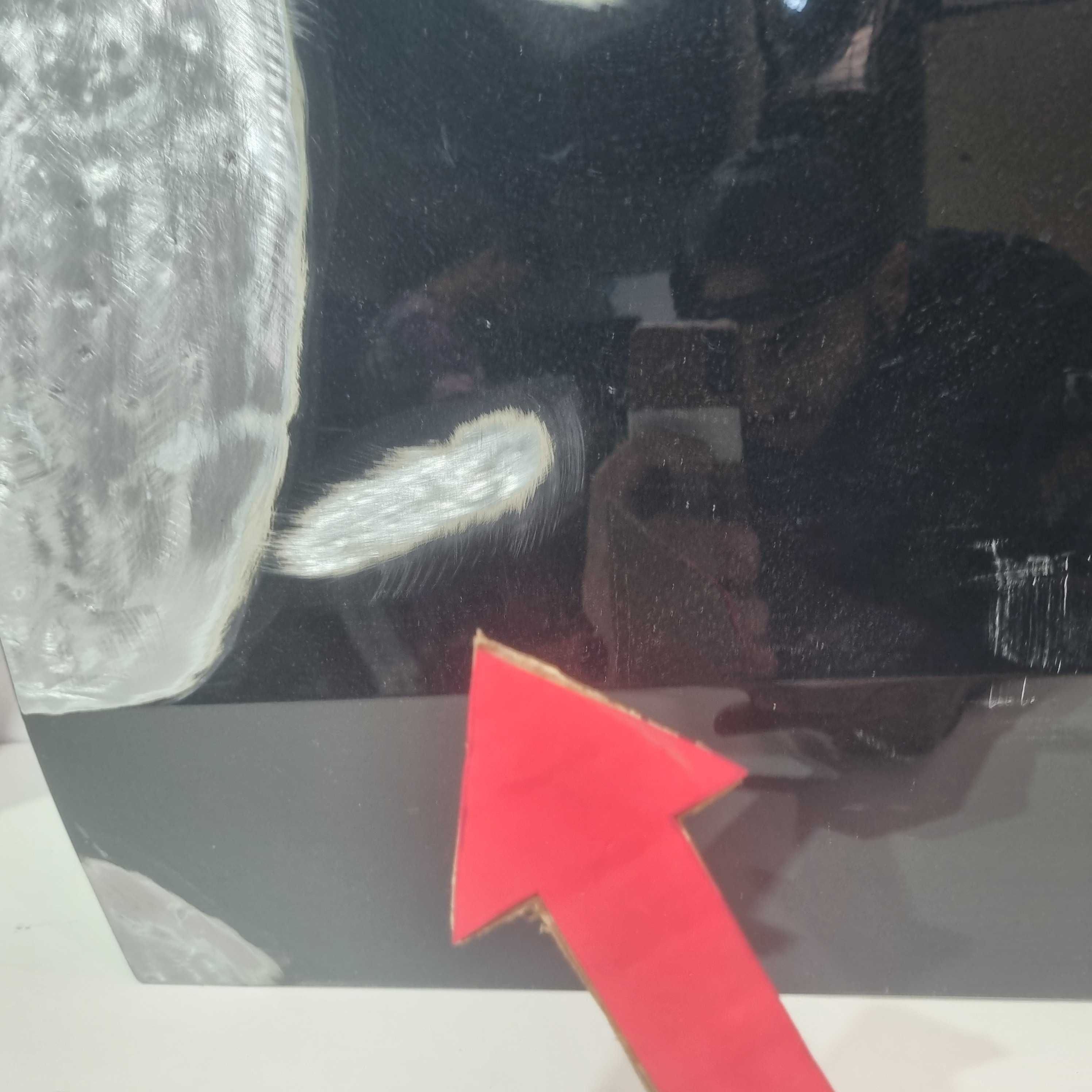 Porta Dianteira Lado Esquerdo Volkswagen Tera 2025/2026 Ori Dianteira Esquerdo 8