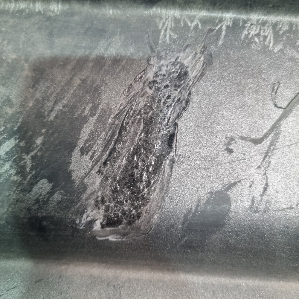 Moldura Inferior Do Parachoque Traseiro Honda Cr-v 2015/2017 Prata 8